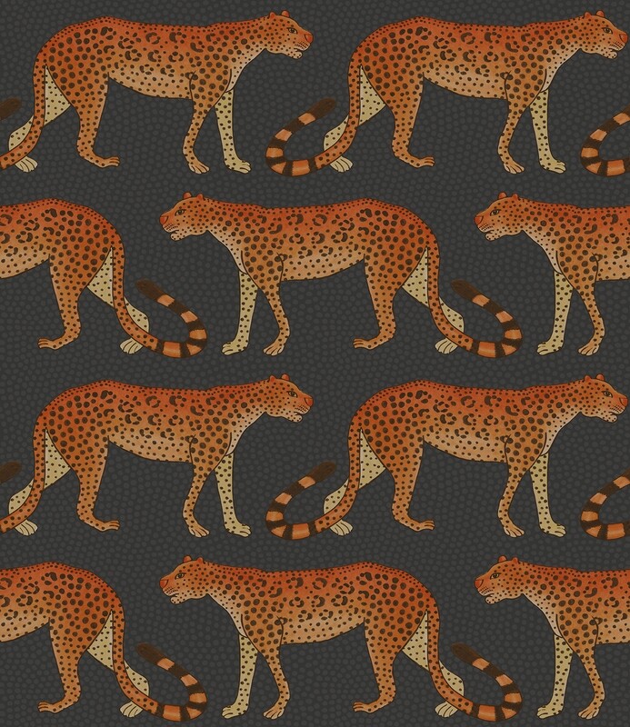 Leopard Walk