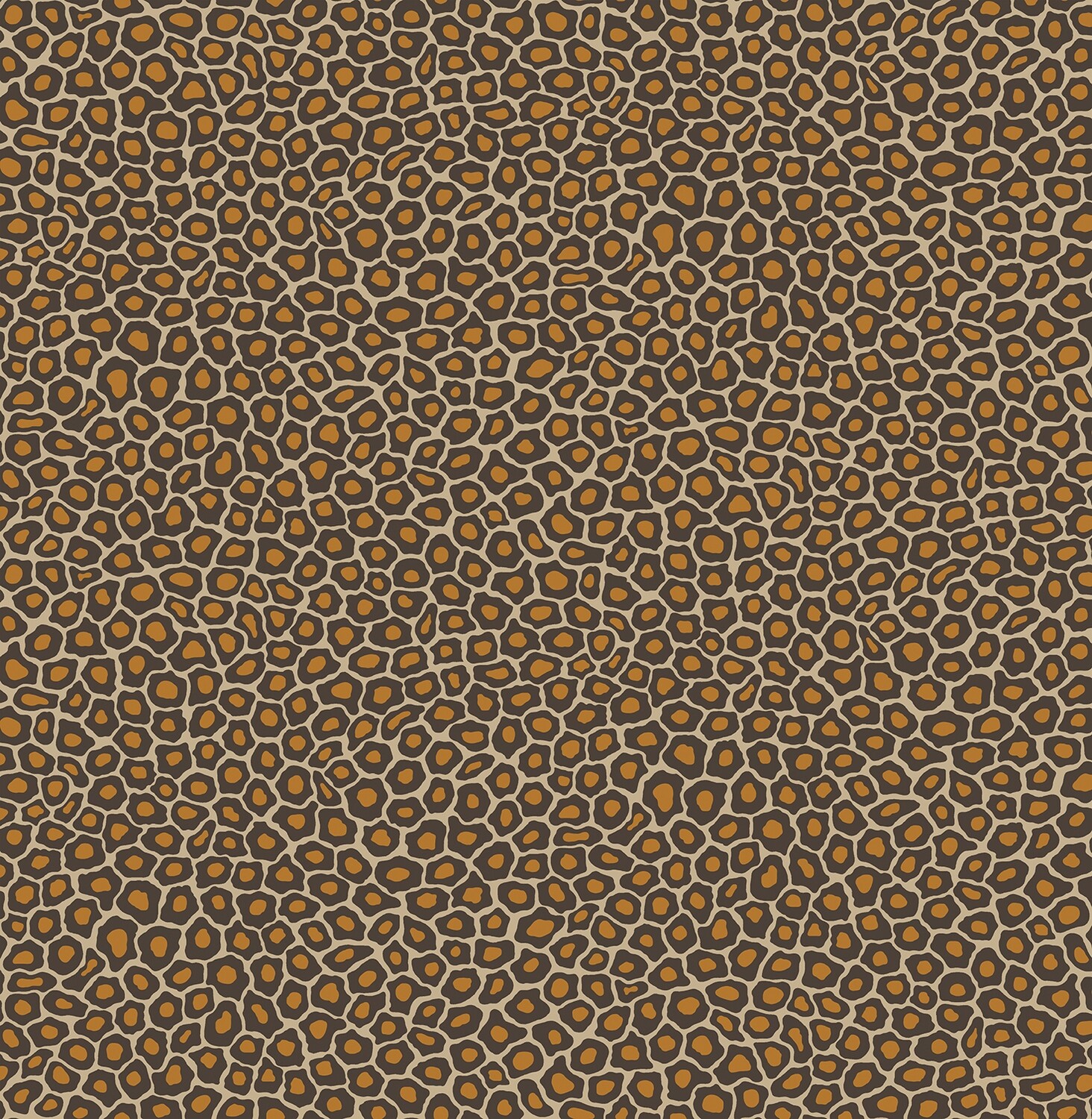 Senzo Spot