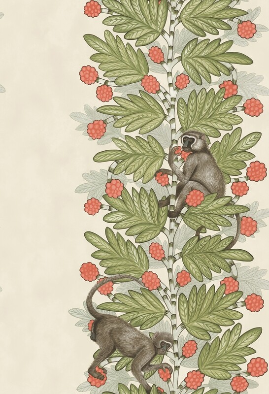 Acacia