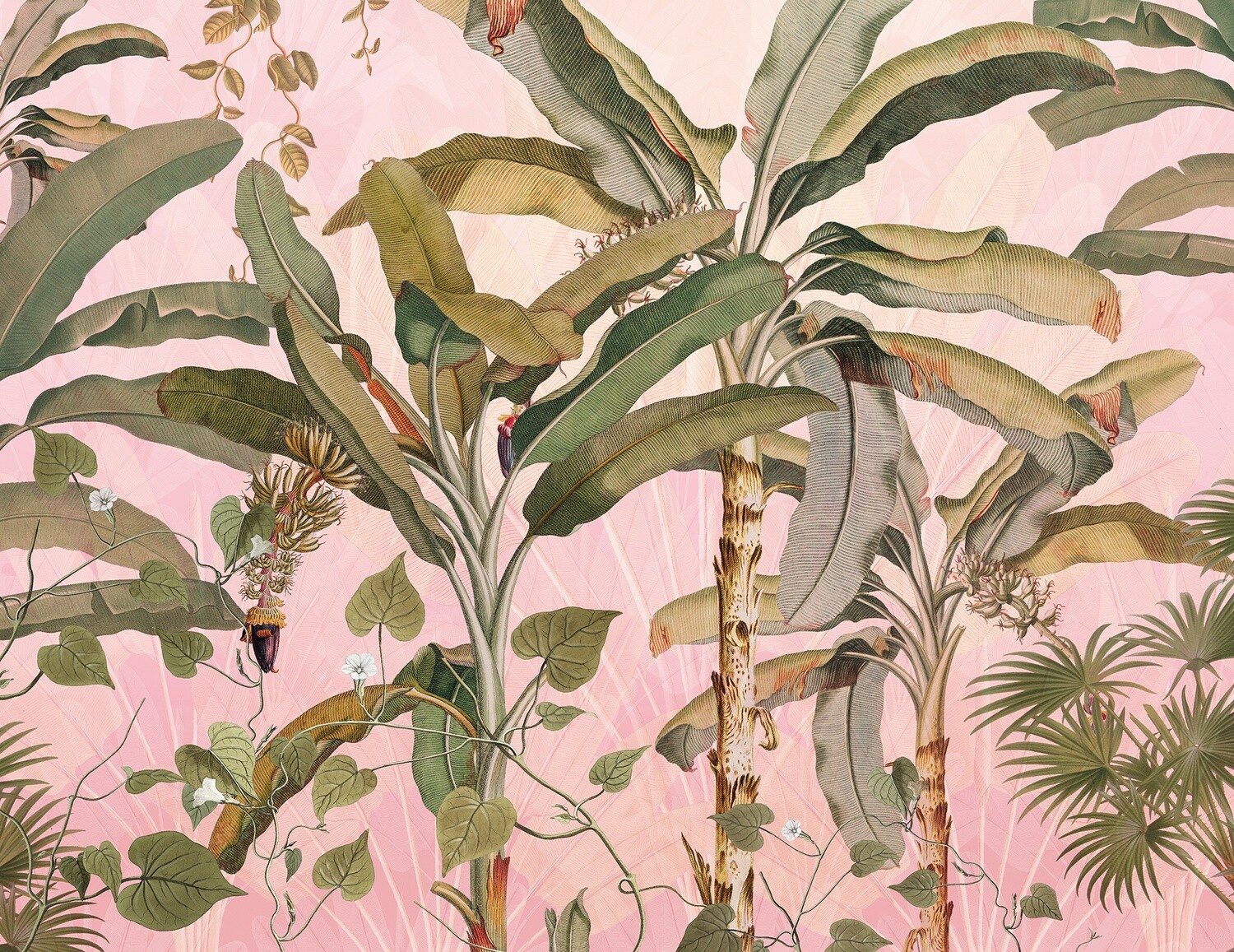 Plantation