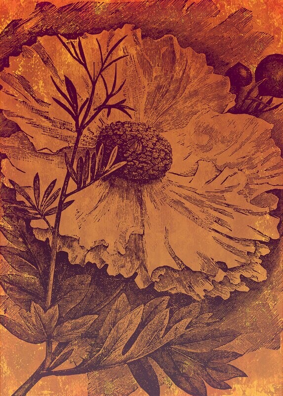 Harvest