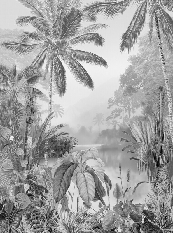 La Tropical B &amp; W