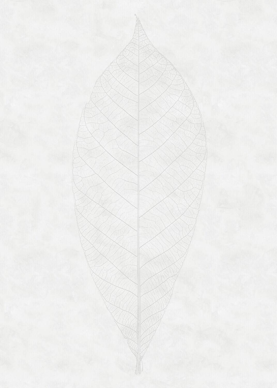 Decent Leaf