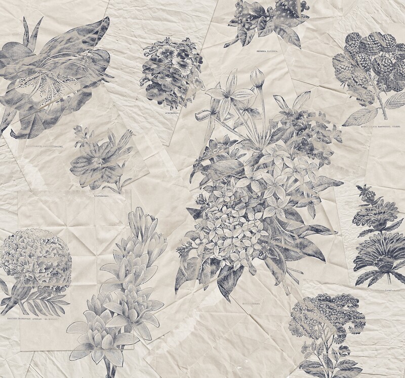 Botanical Papers