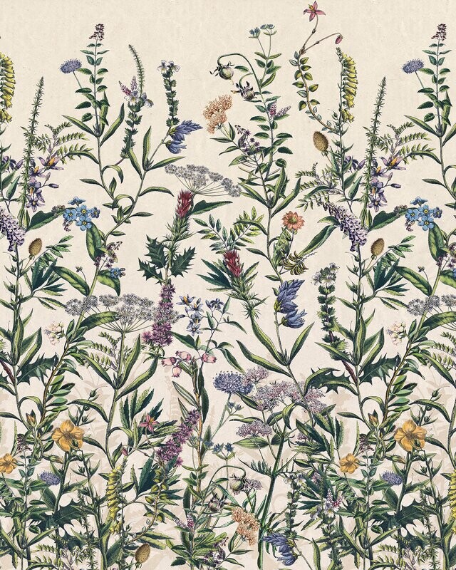 Flowering Herbs