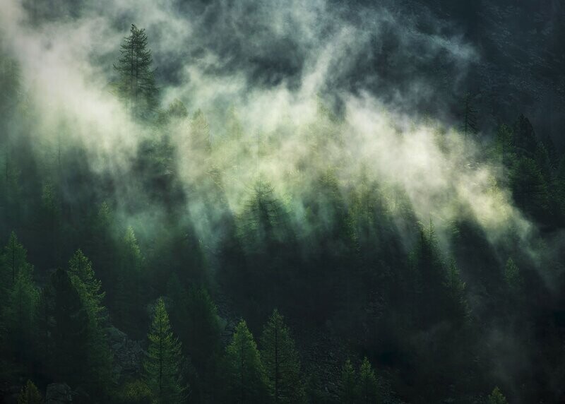 Misty Crowns