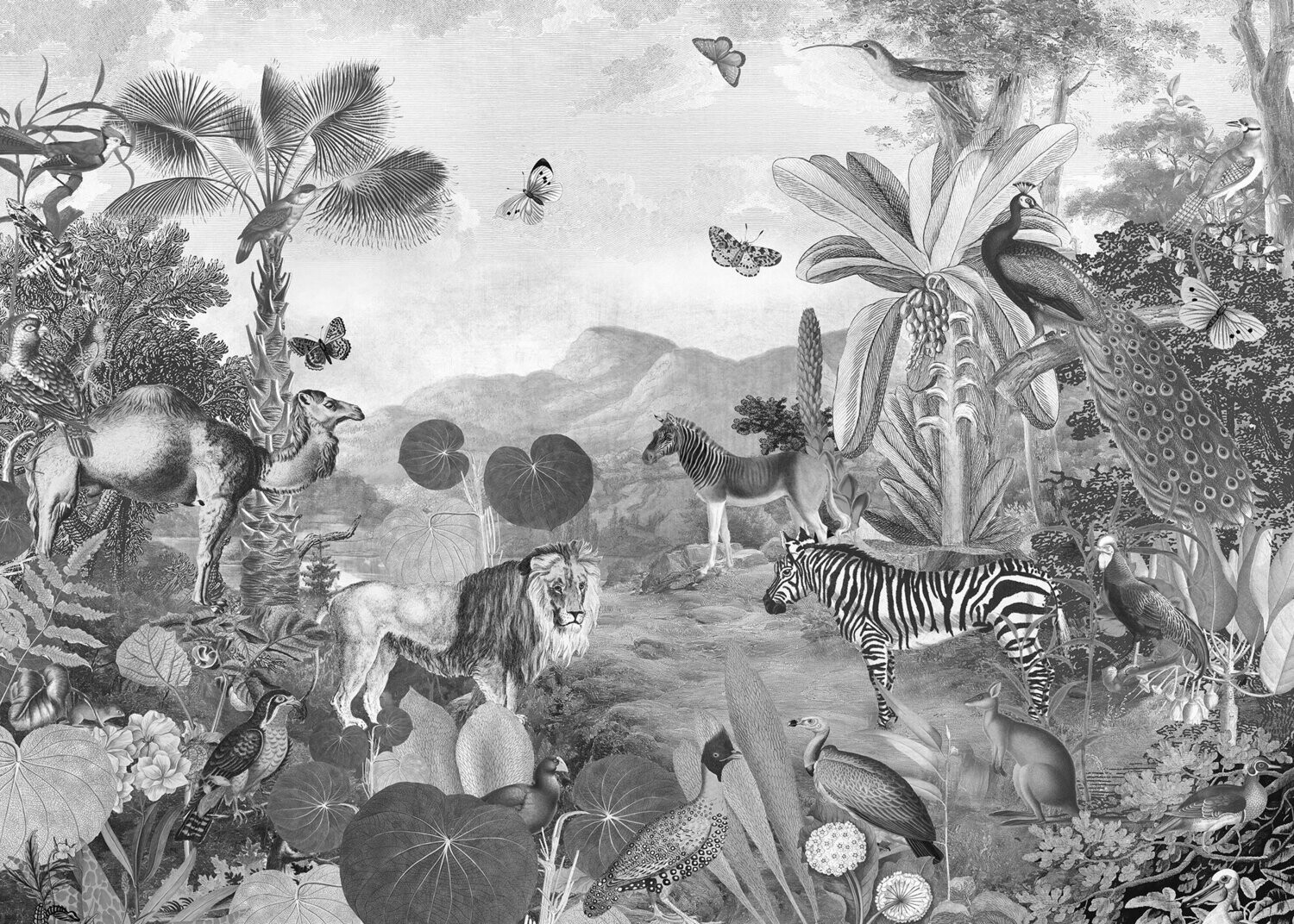 Fora and Fauna