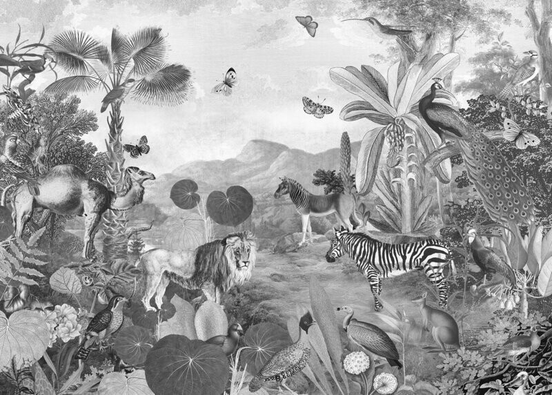 Fora and Fauna