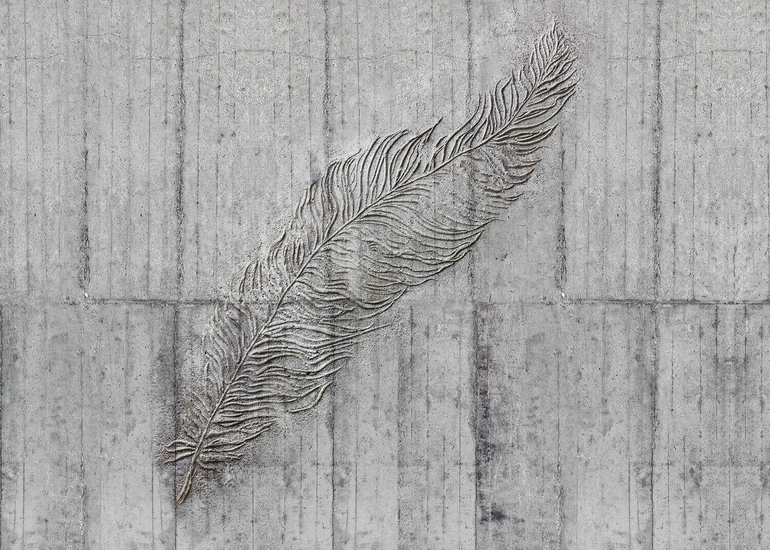 Concrete Feather