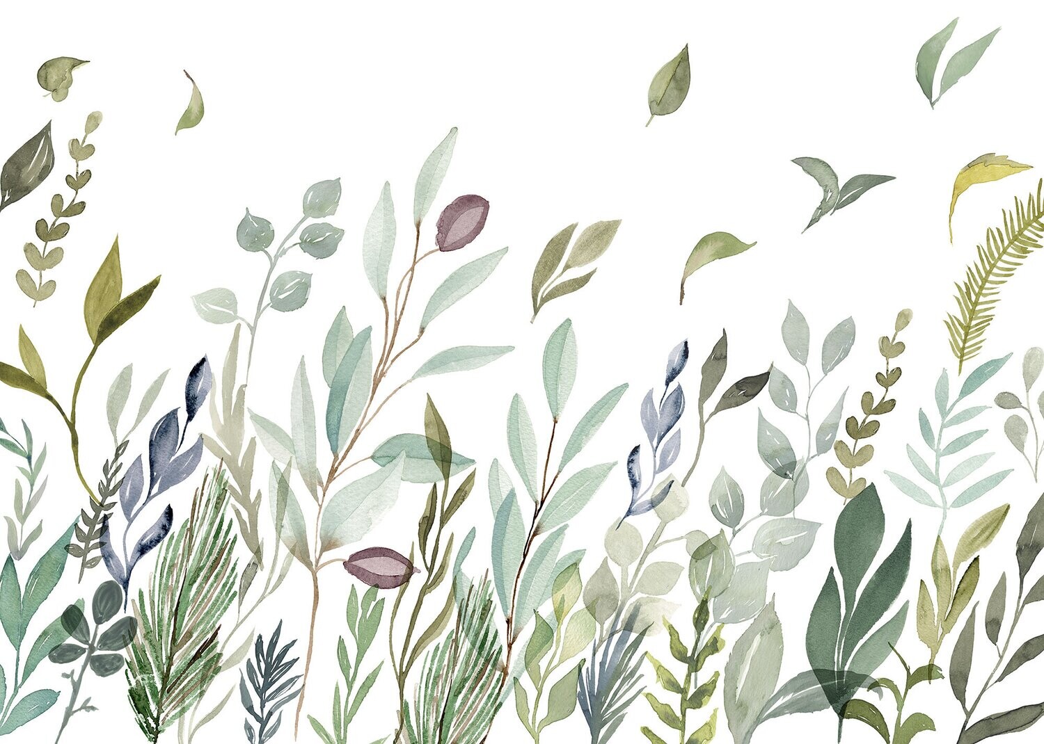 Breeze