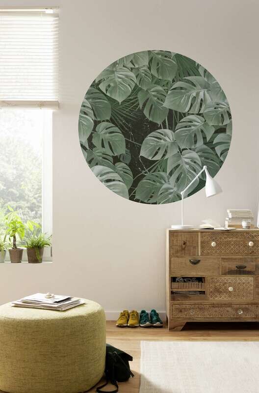 Novel Monstera