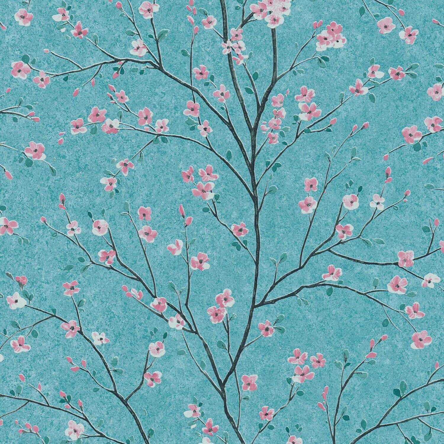 Kirschblüte