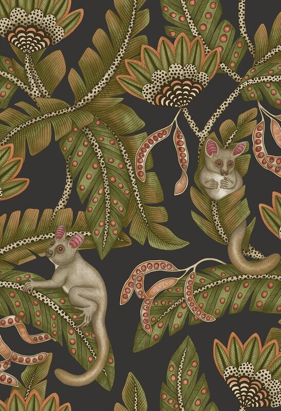 Bush Baby