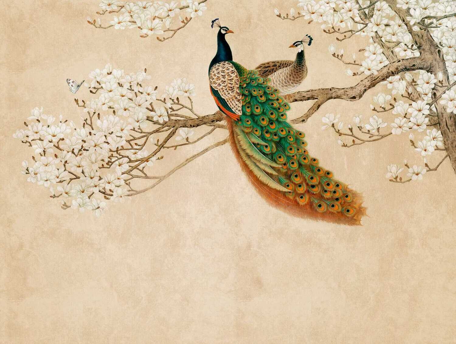 Kirschblüten Pfau