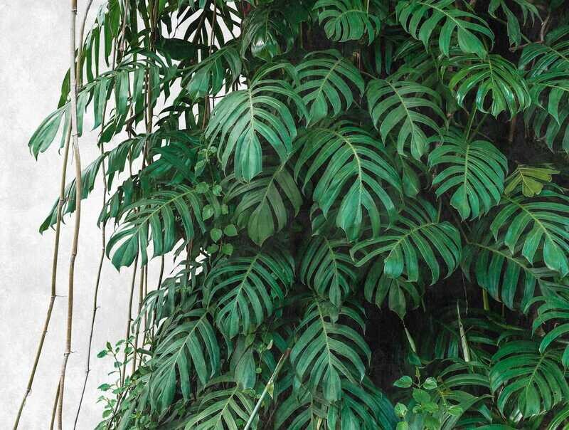Monstera Tapete 3D Motiv Dschungelgrün