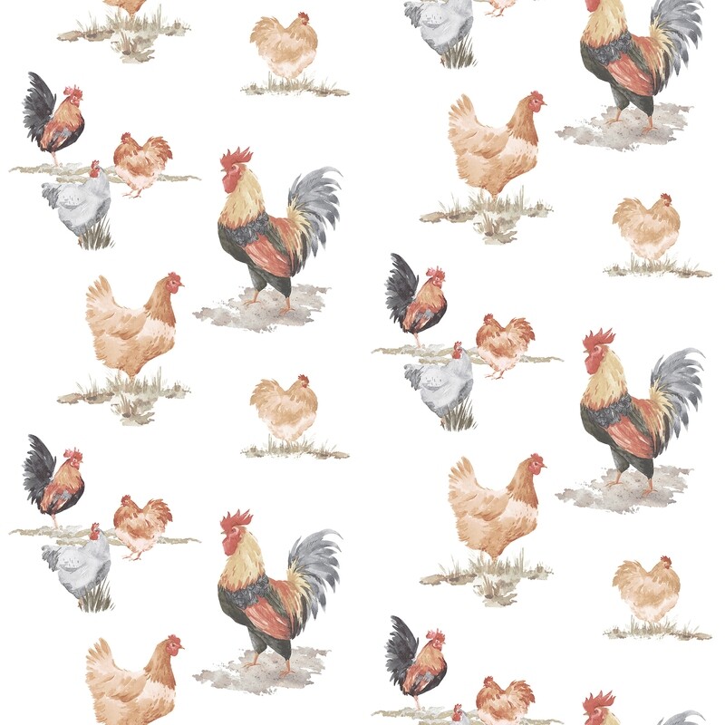 Huhn Hühner