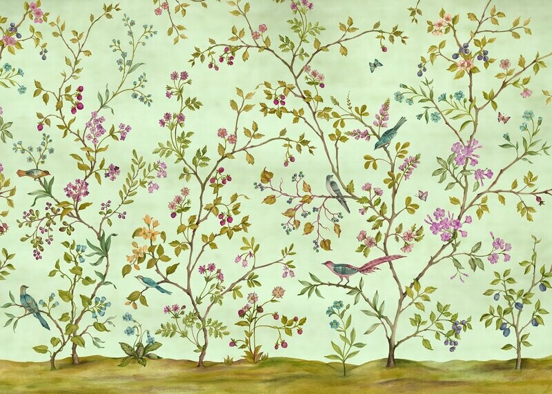 Oiseaux du Paradis