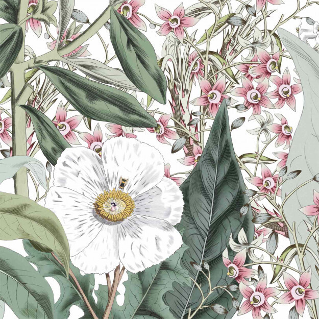 Botanical Garden DOM1514