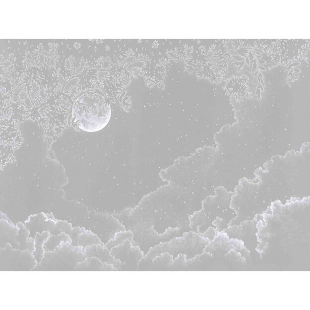 Moonlight Grey
