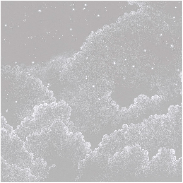 Moonlight Grey