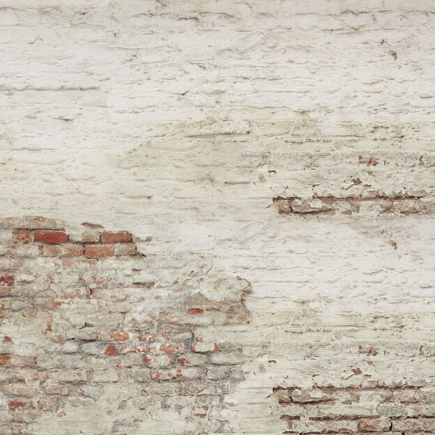 Old Brick Wall