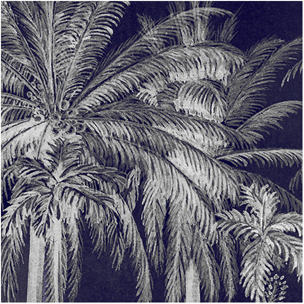 Palm Grove Midnight
