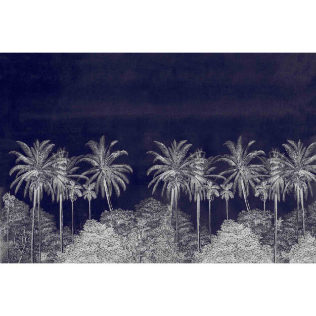 Palm Grove Midnight