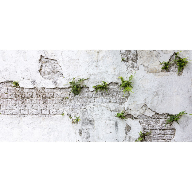 Plants Brick Wall