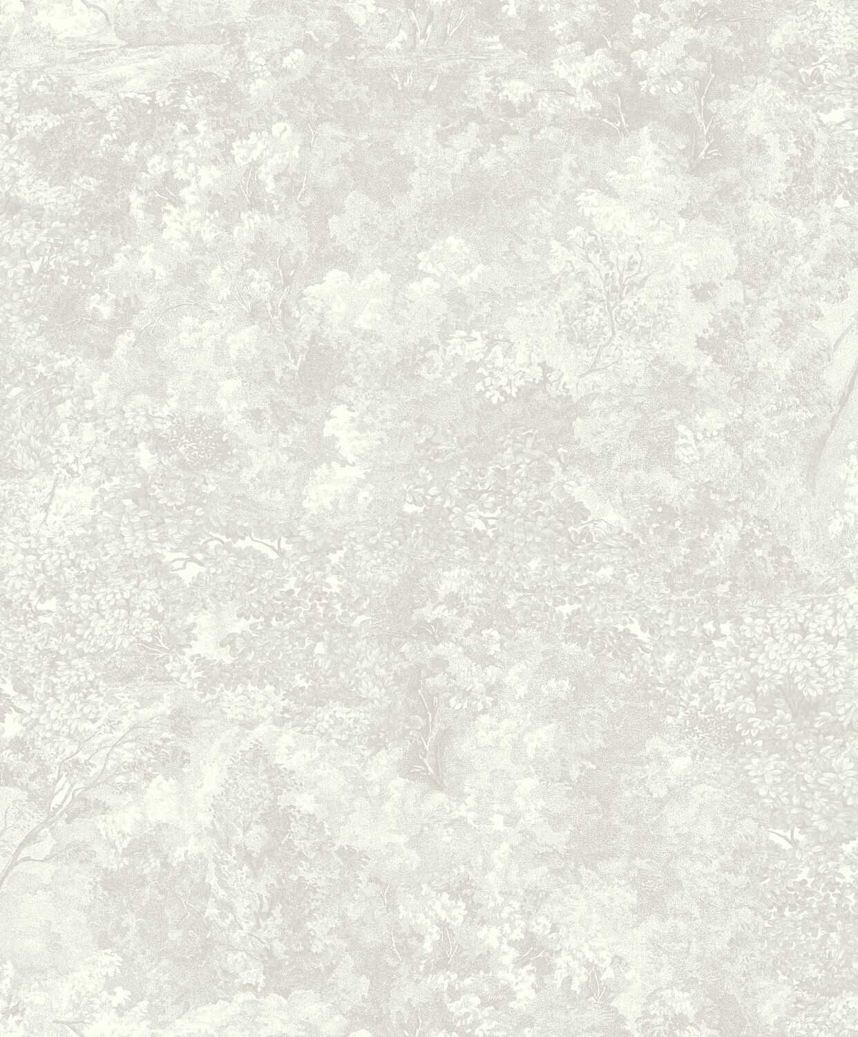 Canopee, Canopee: Grau