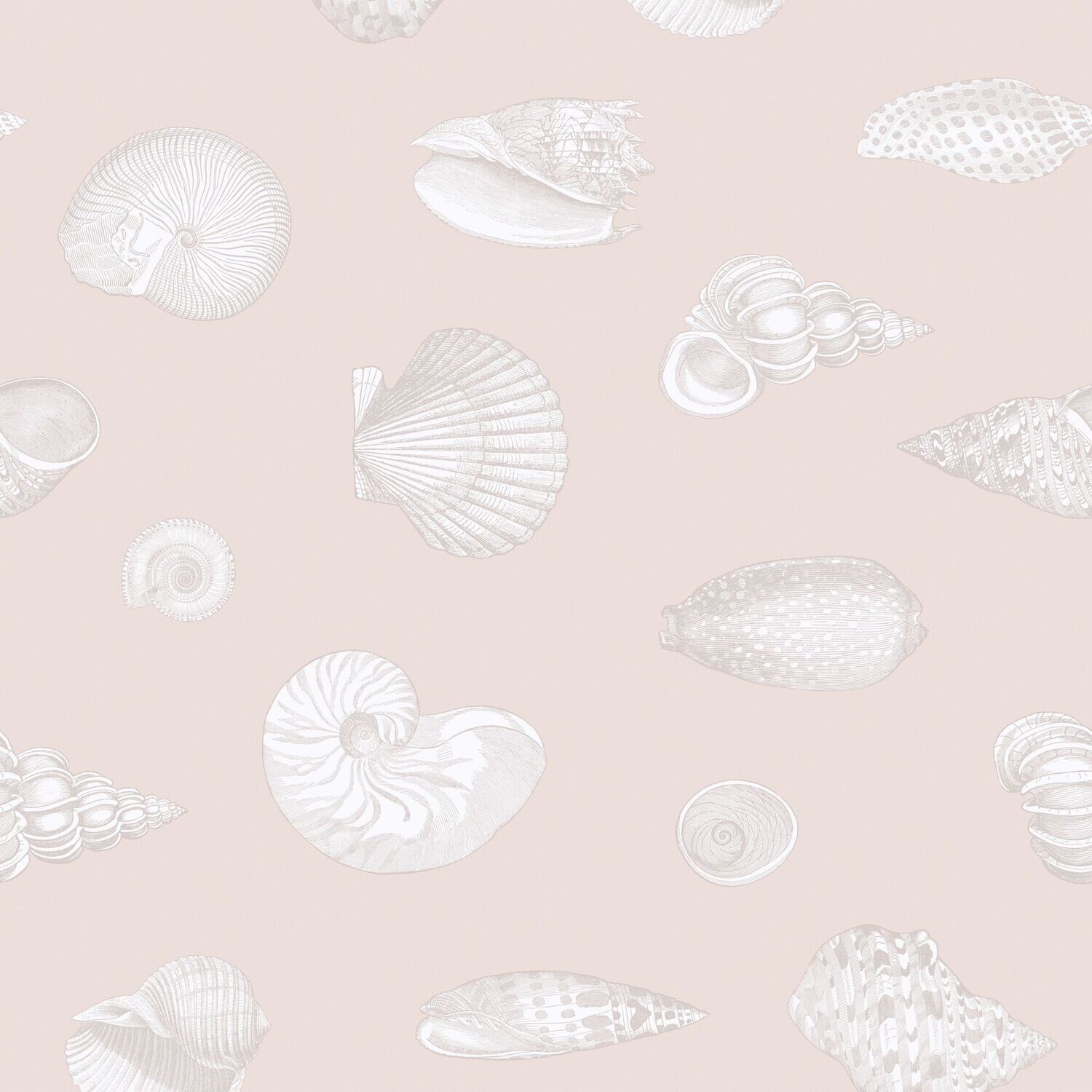 Muscheln