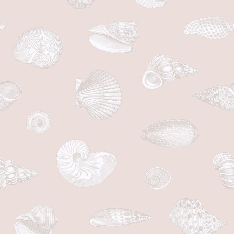 Muscheln