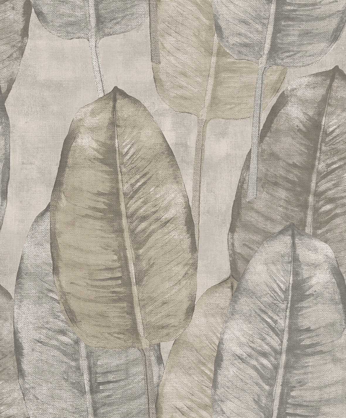 Rubber Tree