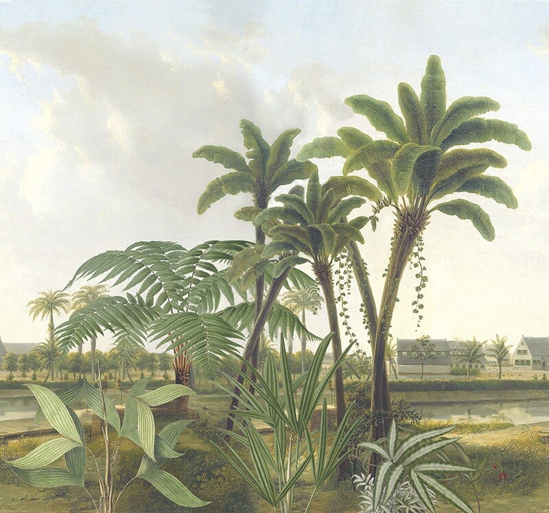 Guadeloupe