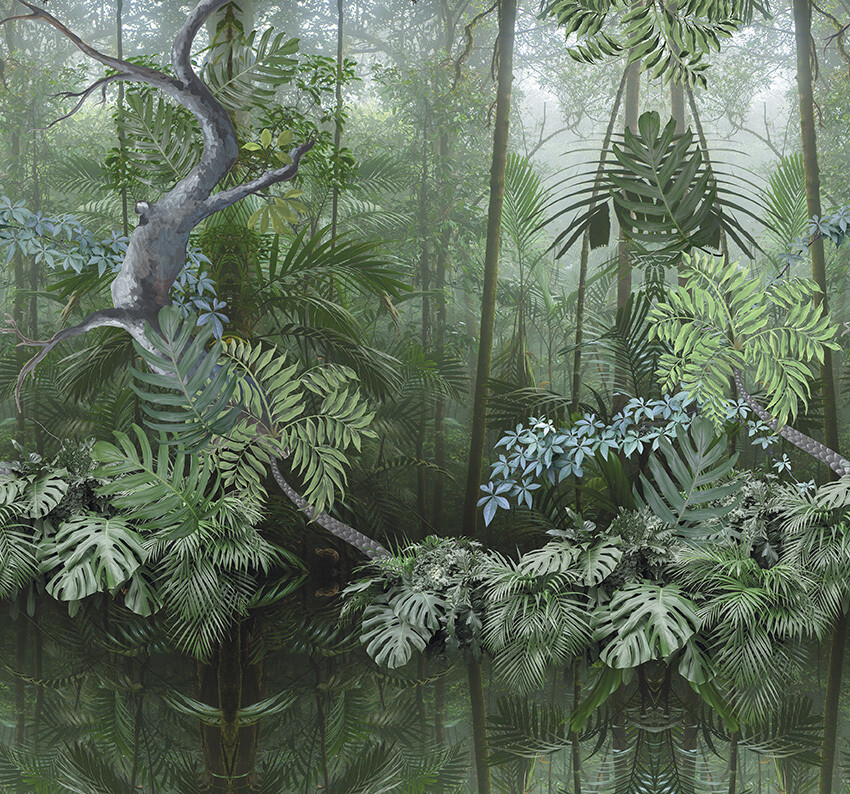 Amazonas