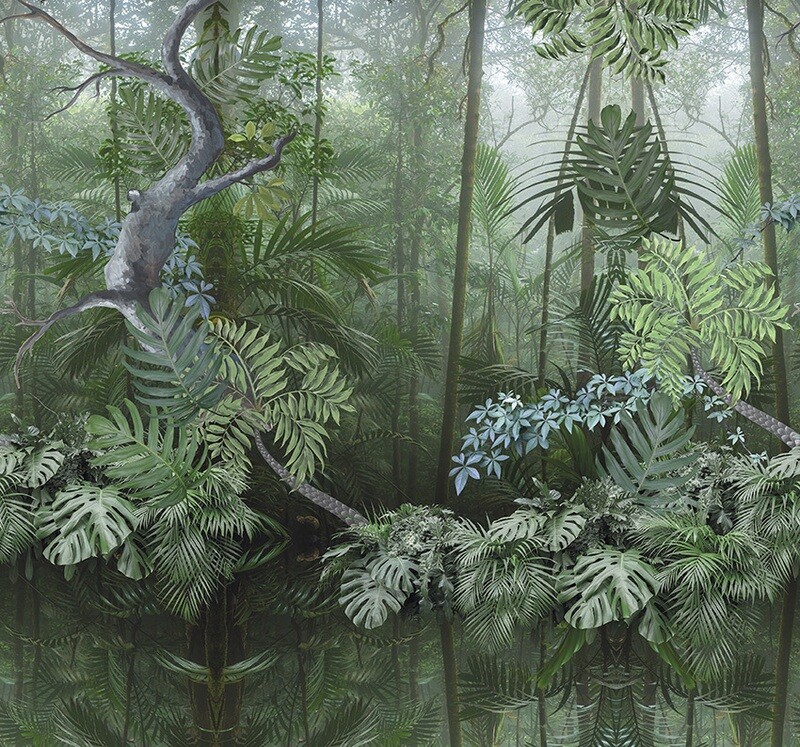 Amazonas