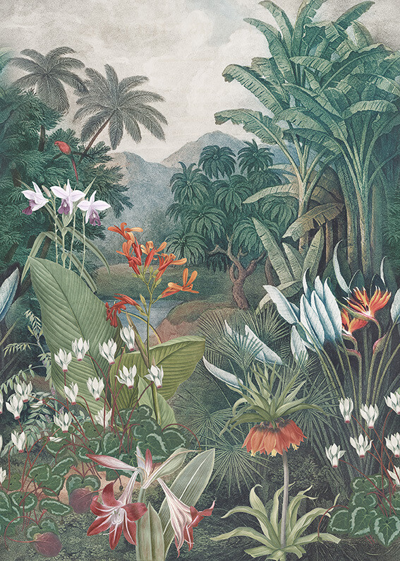 Flores