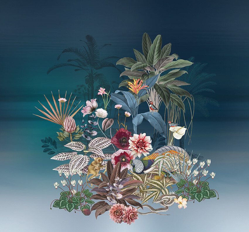 Exotica
