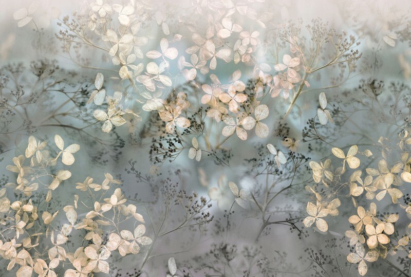 Holunderblüten