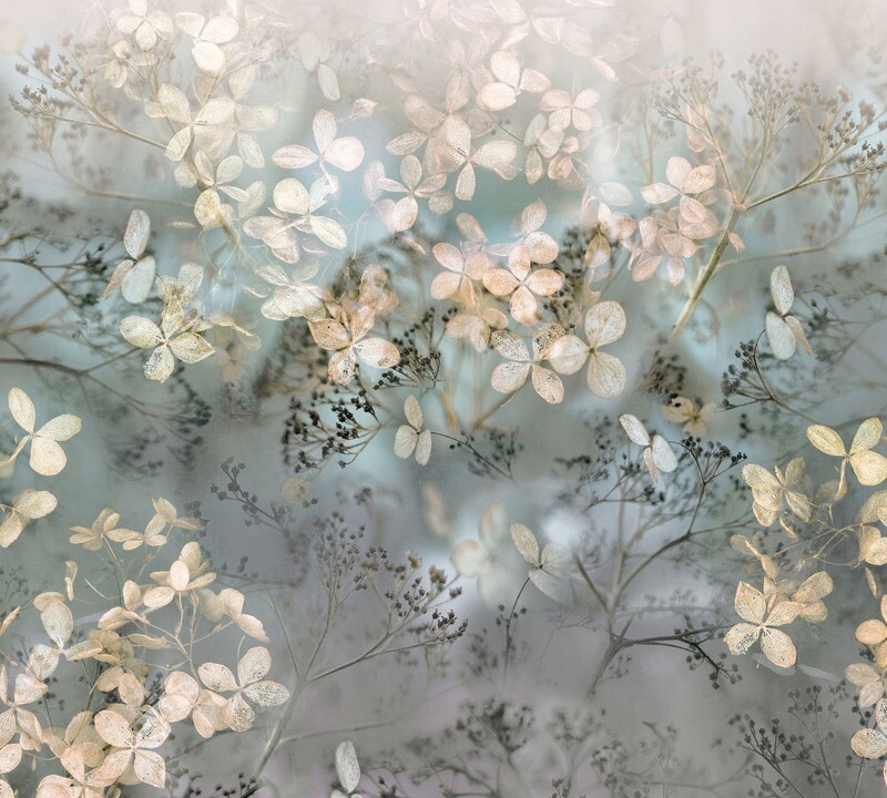 Holunderblüten
