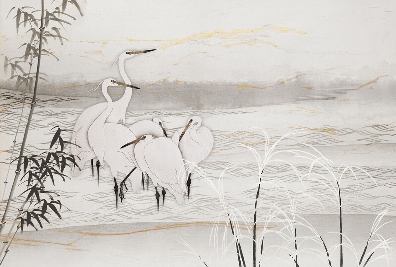 Birds of Asia