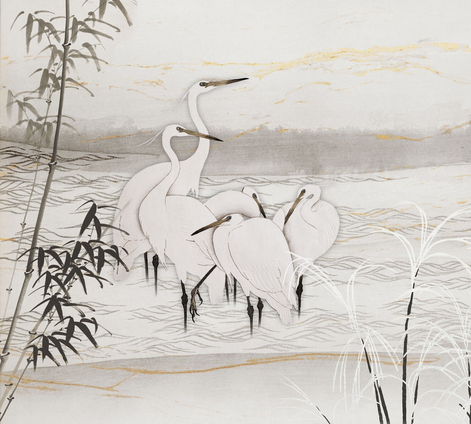 Birds of Asia