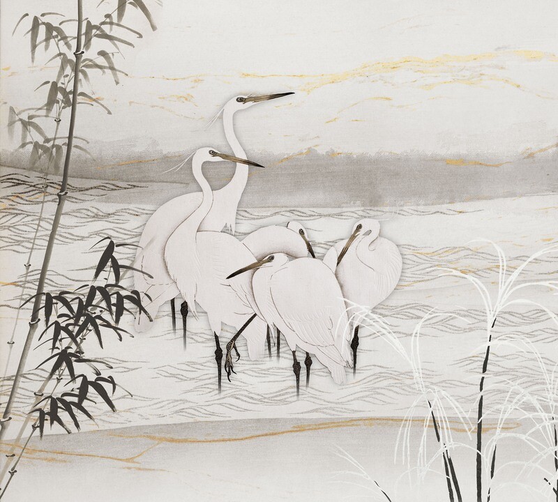 Birds of Asia
