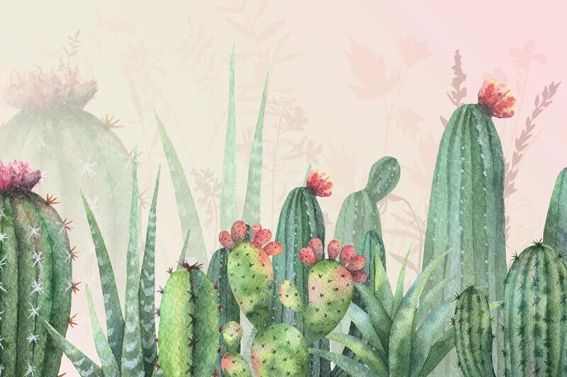Agave