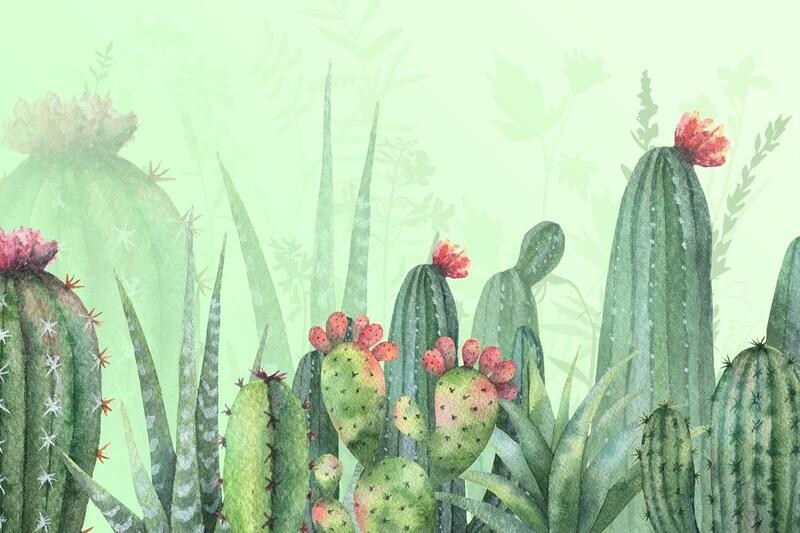Agave