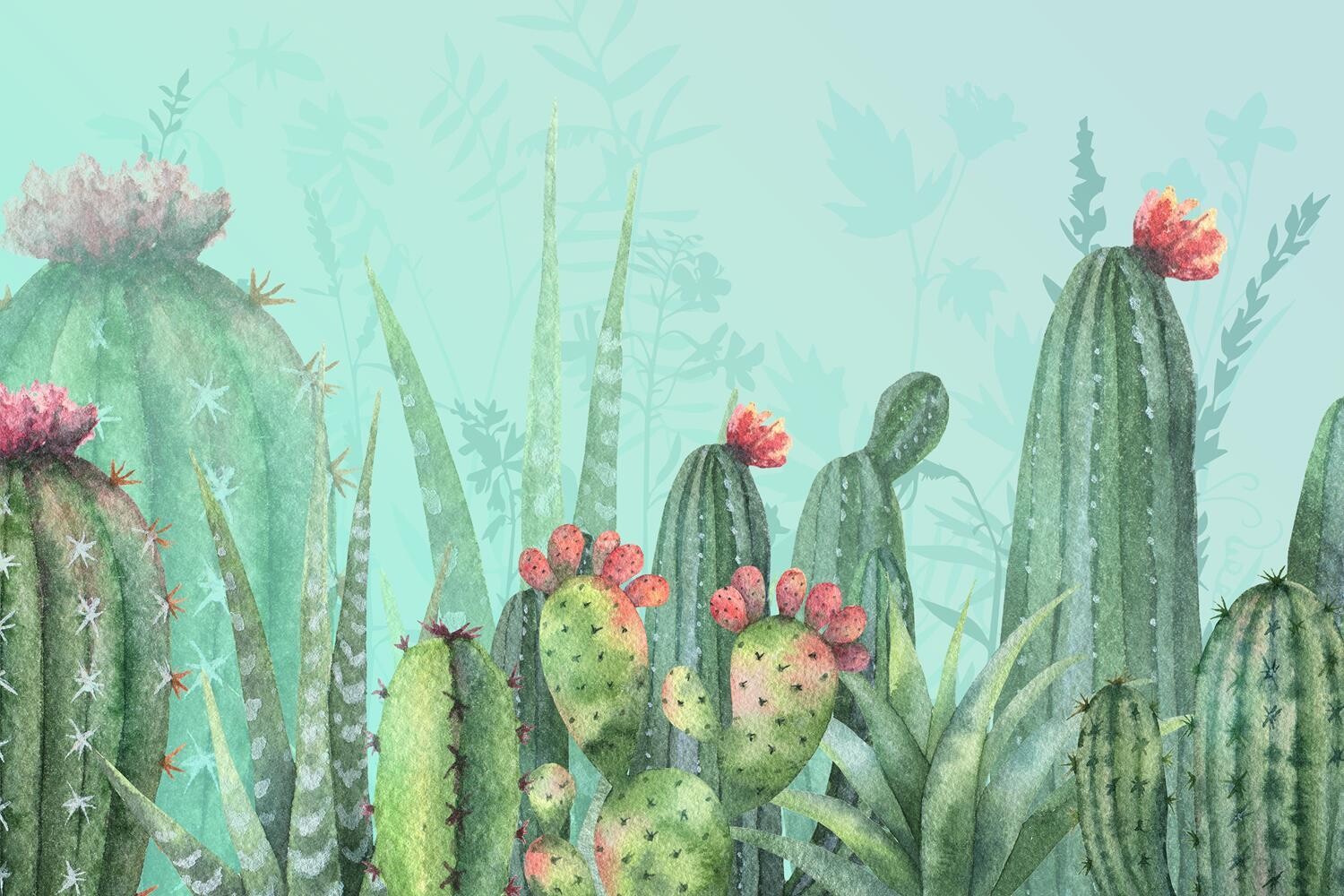 Agave