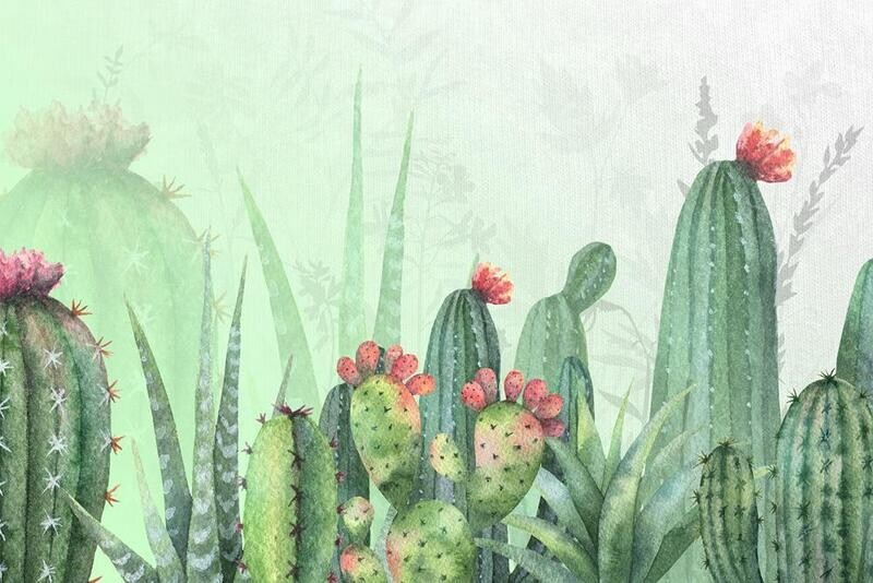 Agave