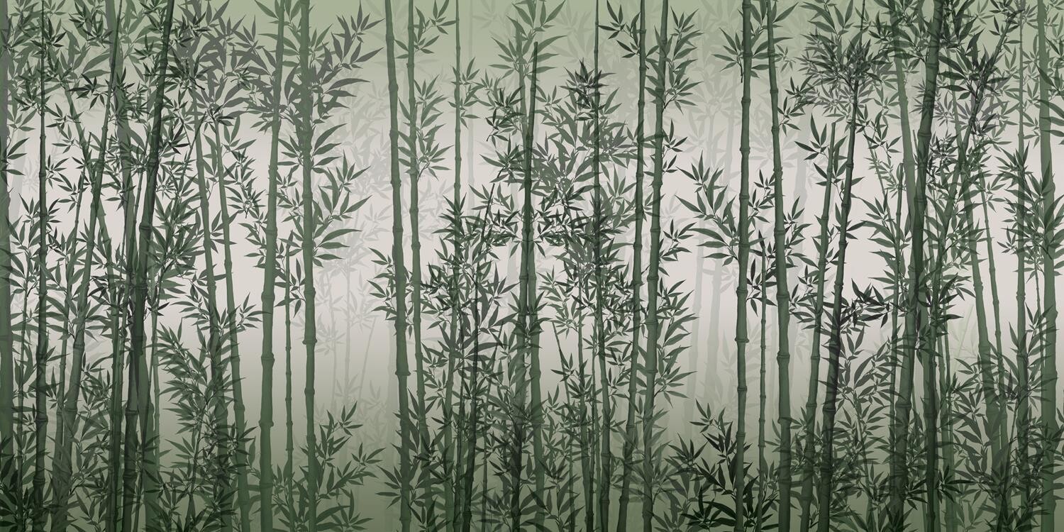 Bamboo Grove