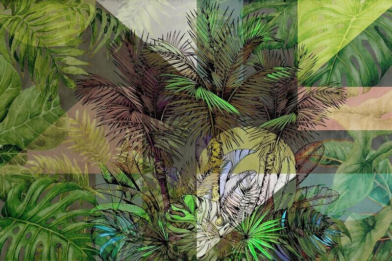 Celtis