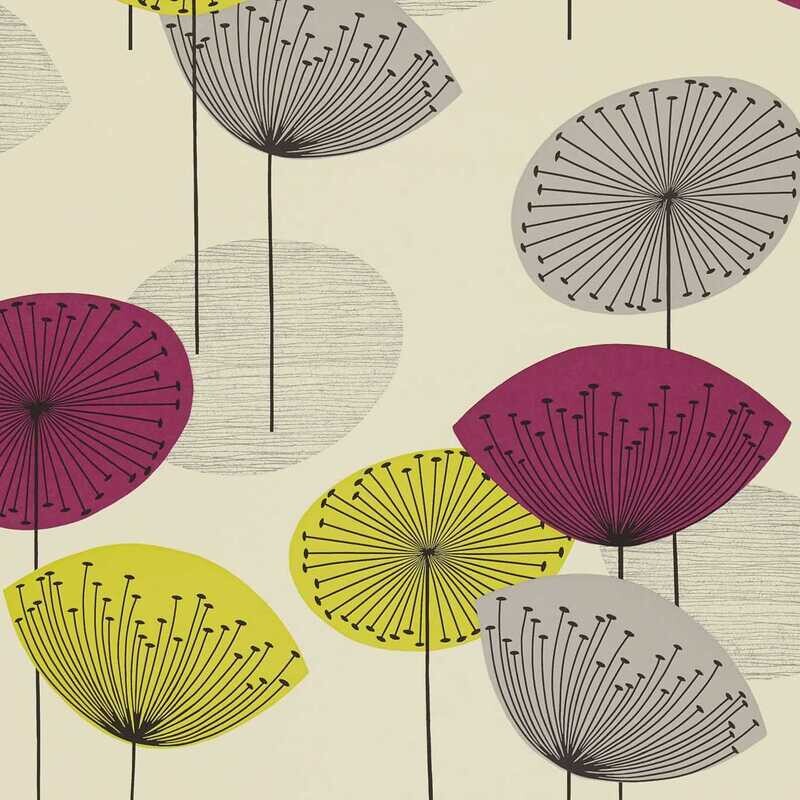 Clocks Coral