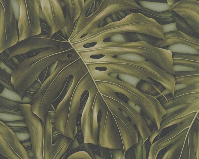 Monstera